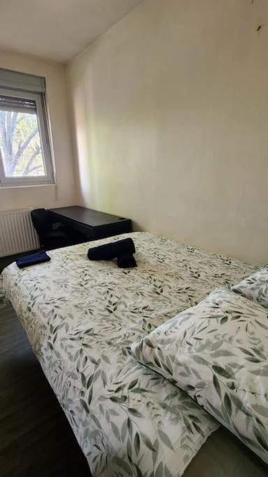 T3 Petit Confort - Proche Commodites - Parking Prive 圖盧茲 外观 照片